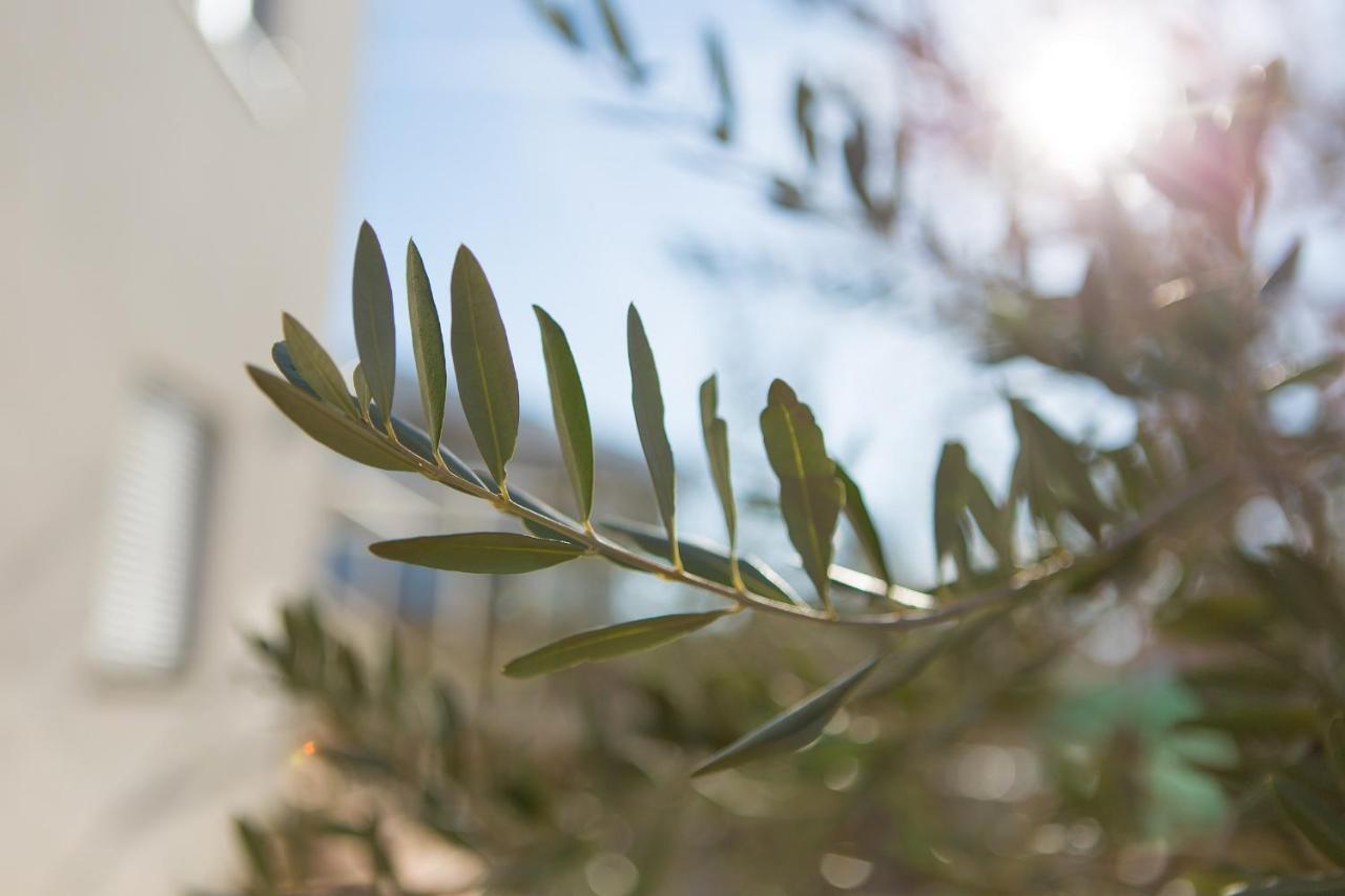 Vijon Διαμέρισμα Njivice Εξωτερικό φωτογραφία